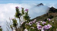 Mein Schiff westl.Mittelmeer mit Kanaren Kreuzfahrt Mein Schiff westl.Mittelmeer mit Kanaren Kreuzfahrt