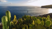 Mein Schiff Kanaren Kreuzfahrt Kanarische Inseln Mein Schiff Kanaren Kreuzfahrt Kanarische Inseln