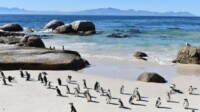 Mein Schiff Südafrika & Namibia   Transafrika & Transozean